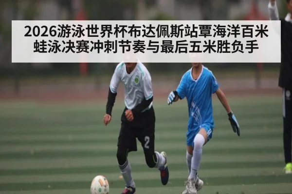 2026游泳世界杯布达佩斯站覃海洋百米蛙泳决赛冲刺节奏与最后五米胜负手