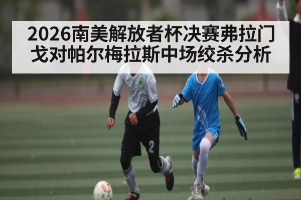 2026南美解放者杯决赛弗拉门戈对帕尔梅拉斯中场绞杀分析